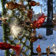 Weihnachtsmarkt Donauwörth