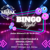 Bingo-Night @ Havana