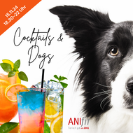 Cocktails & Dogs