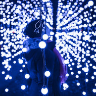 Christmas Garden im Zoo Augsburg 