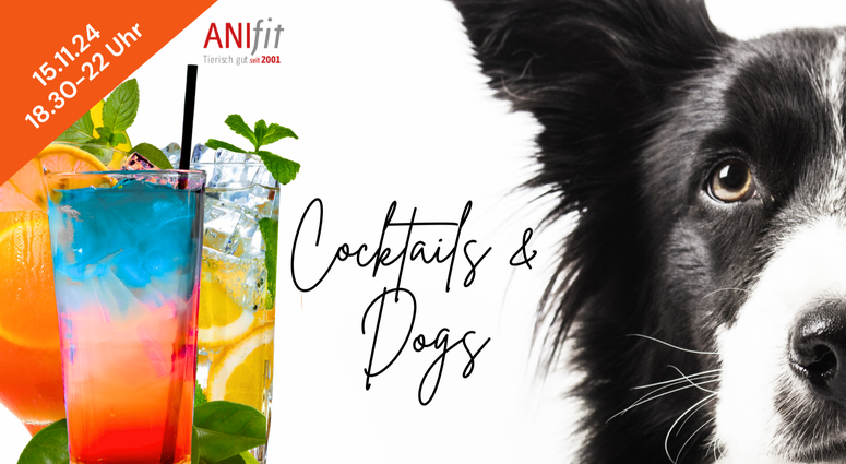 cropped-1730588134-20241115_cocktails_dogs_1920x1080