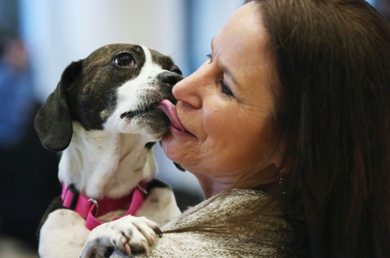 Studie Hunde weinen vor Freude bei Wiedersehen mit Besitzer News