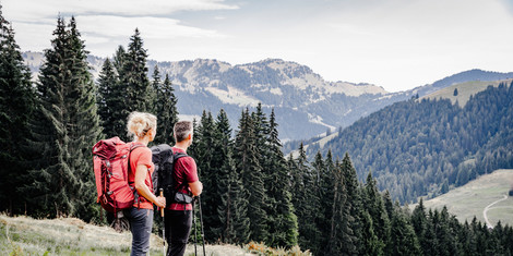 cropped-1720783055-wta-hs-balderschwg-richtung-burgl-hutte-aussichtallgau-gmbh--erika-durr