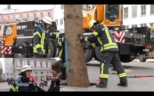 Der Weihnachtsbaum wird am Augsburger Christkindlesmarkt aufgestellt