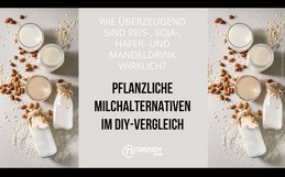 Pflanzliche Milchalternativen im DIY-Vergleich: Überzeugen Reis-, Soja-, Hafer- und Mandeldrink?